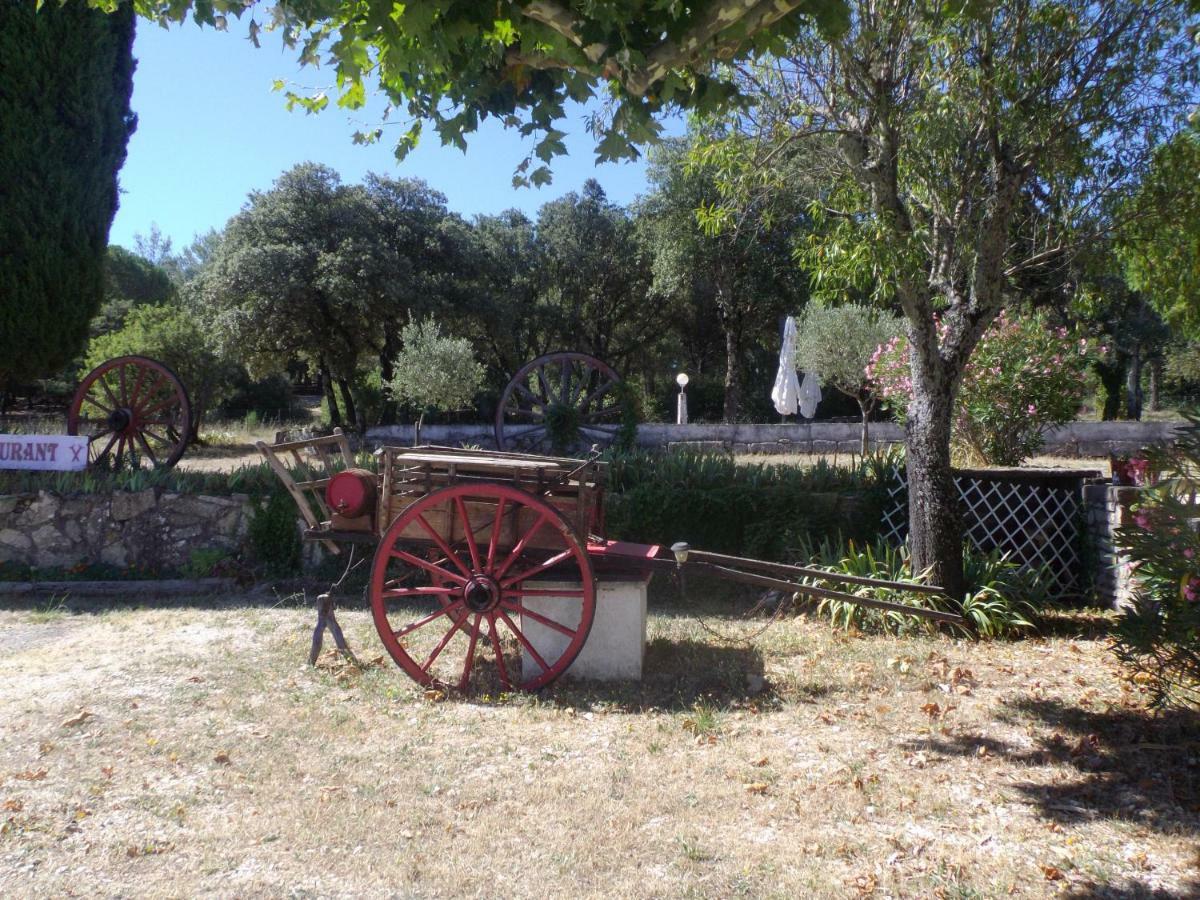 Des Garrigues * Nimes