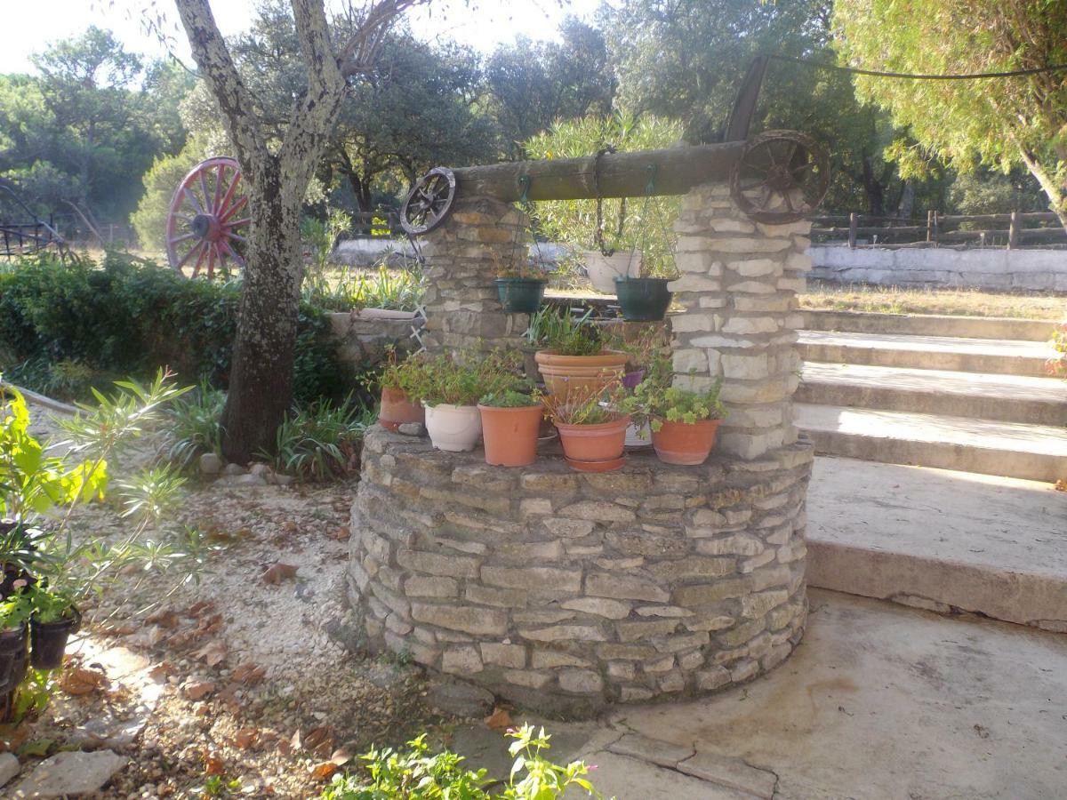 Des Garrigues Nimes